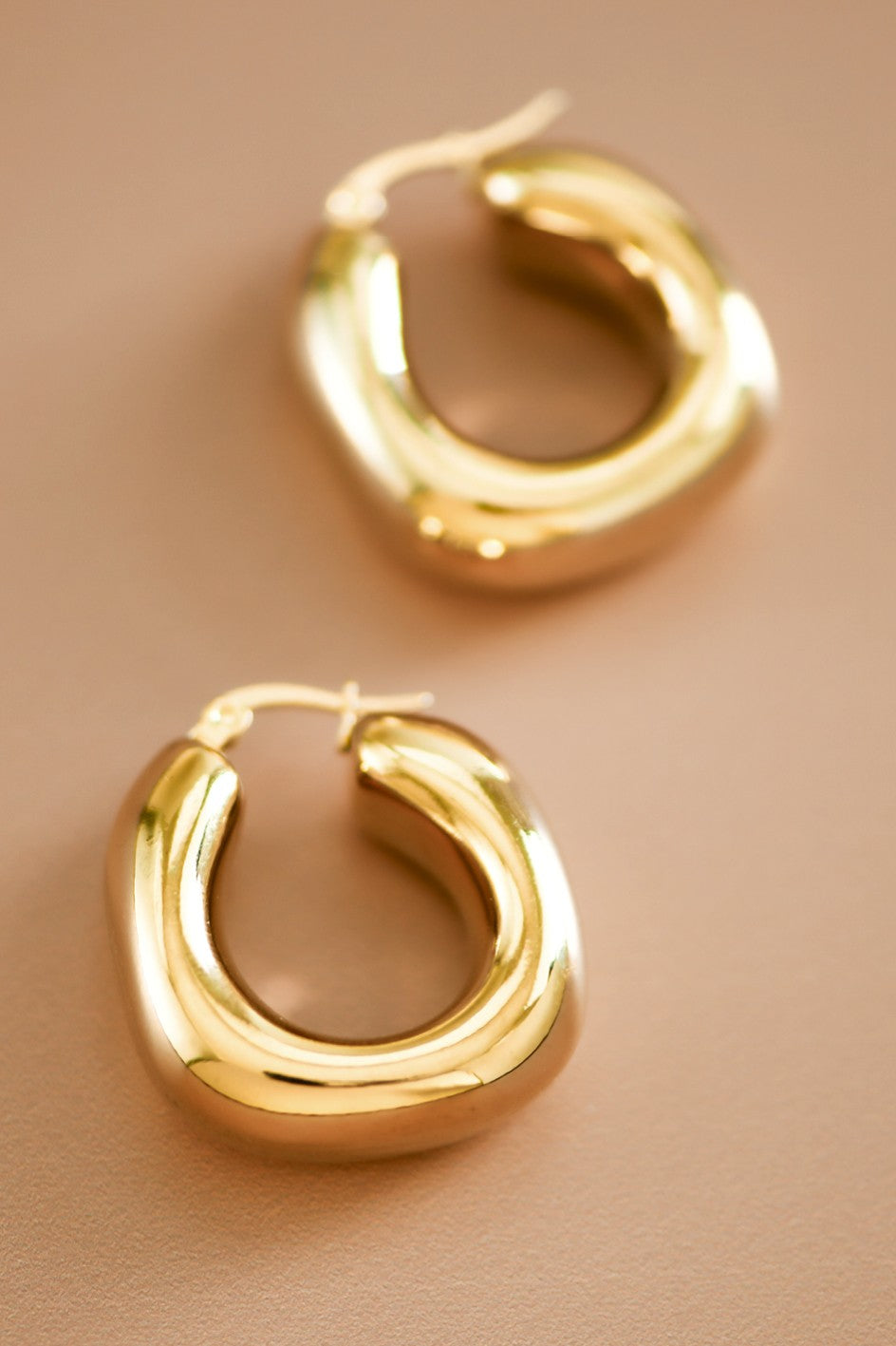 Danna Hoops Earrings