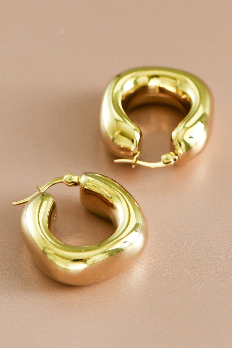 Danna Hoops Earrings