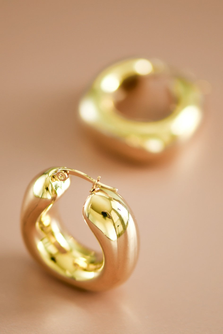 Danna Hoops Earrings