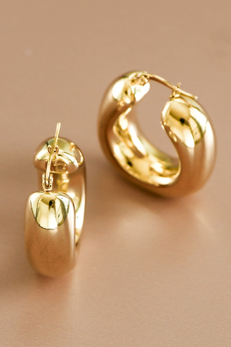 Danna Hoops Earrings