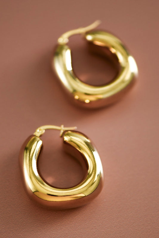 Danna Hoops Earrings
