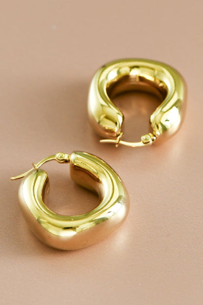 Danna Hoops Earrings