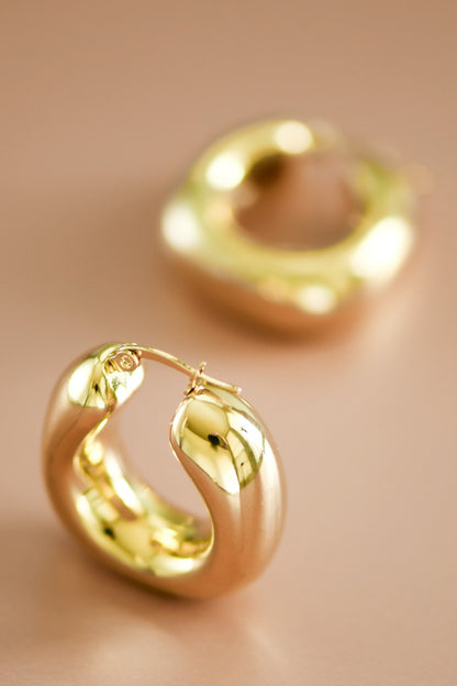 Danna Hoops Earrings