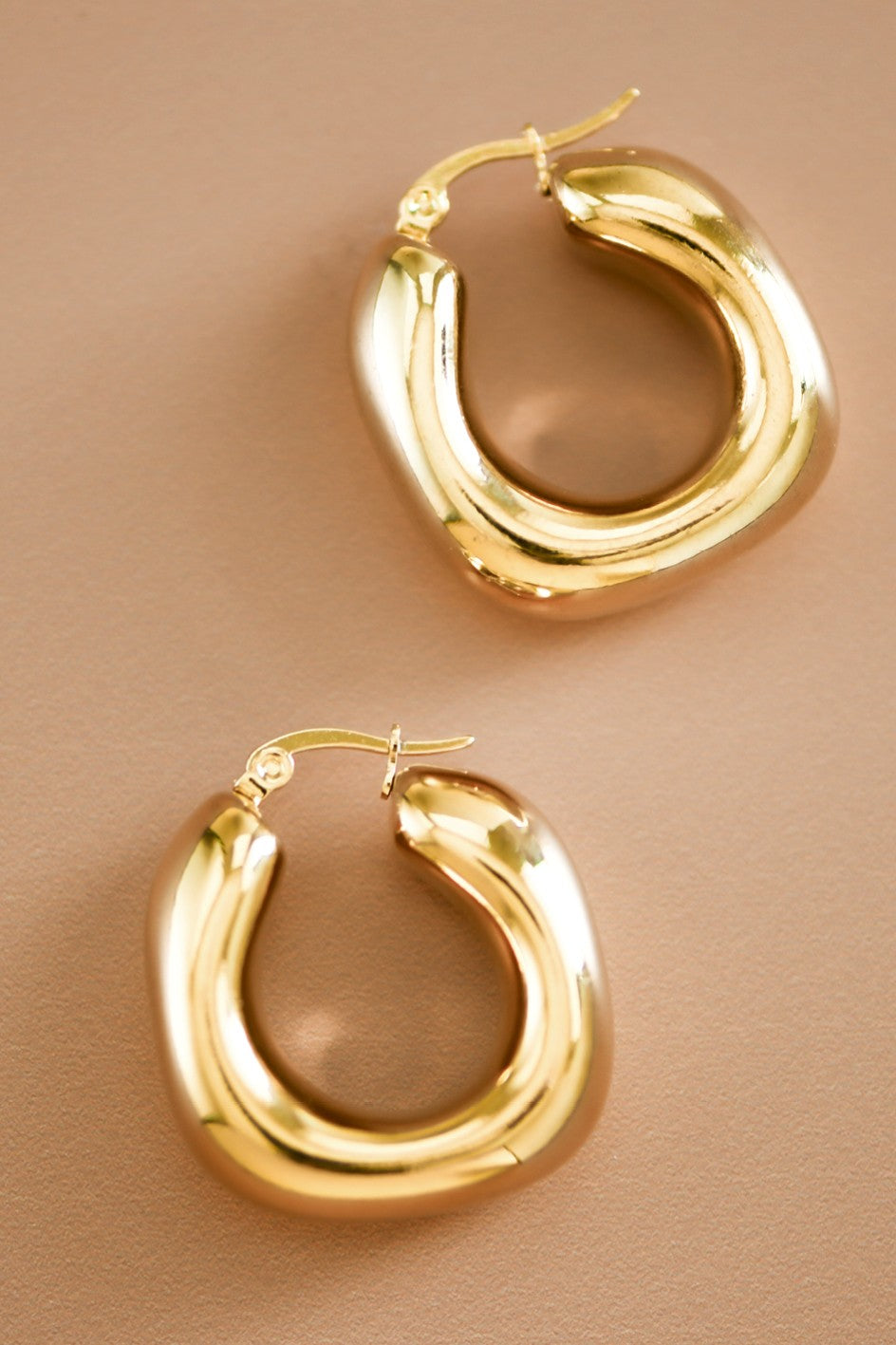 Danna Hoops Earrings